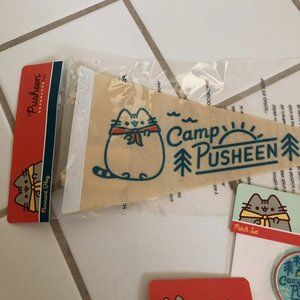 Pusheen Box Summer 2020 Pennent Flag